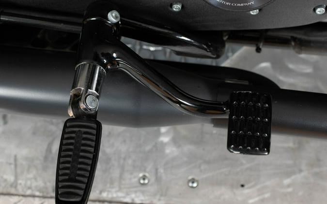 2022 Harley-Davidson Iron 883