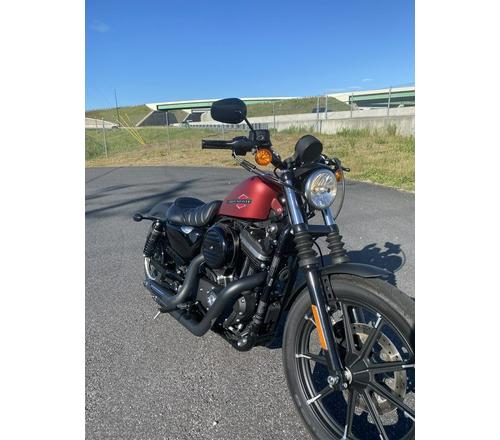 2019 Harley-Davidson® XL 883N - Sportster® Iron 883™