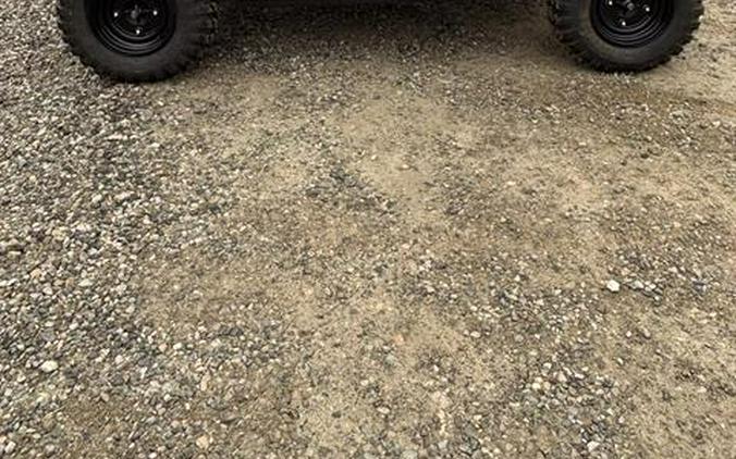 2025 Kawasaki MULE PRO-MX EPS