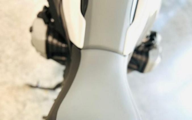 2024 BMW R 1300 GS Light White