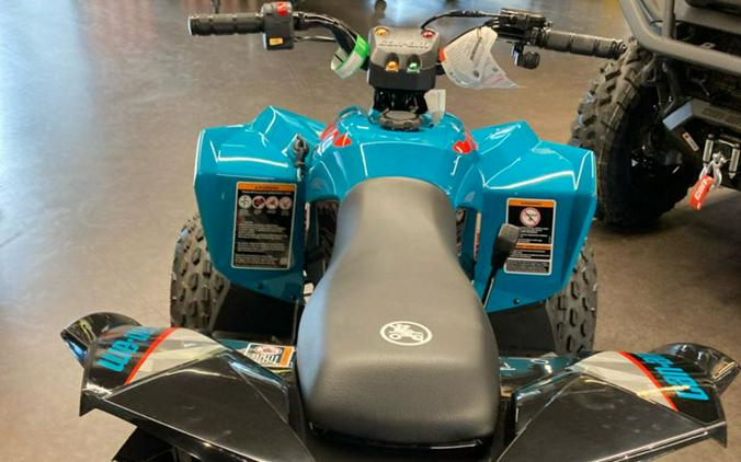 2025 Can-Am® Renegade 70 EFI
