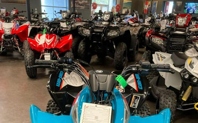 2025 Can-Am® Renegade 70 EFI