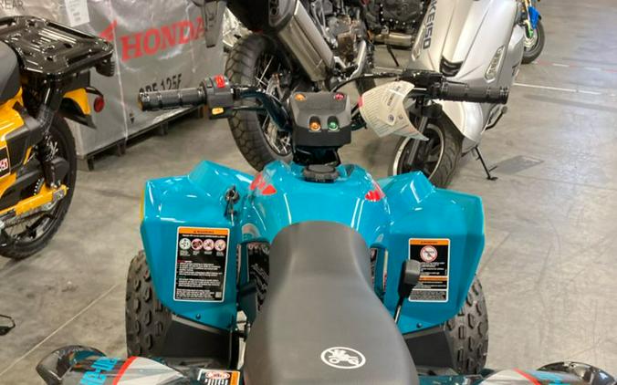 2025 Can-Am® Renegade 70 EFI