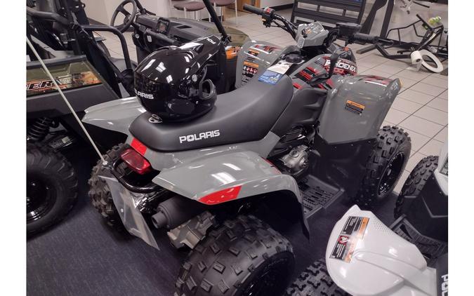 2024 Polaris Industries Phoenix™ 200