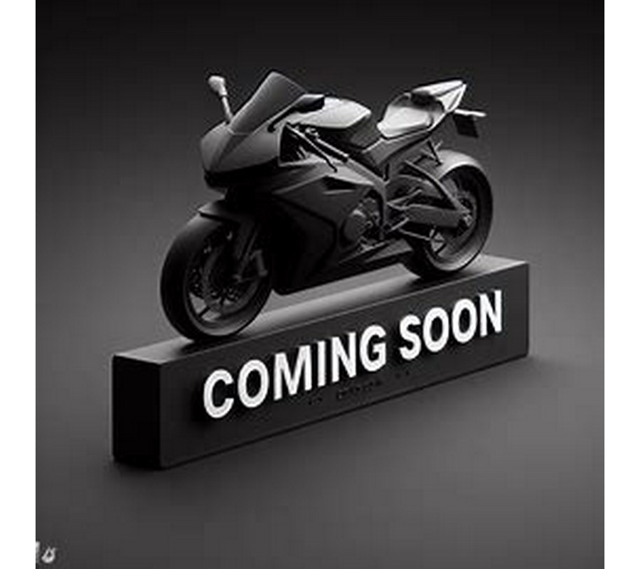 2019 Yamaha YZF-R3