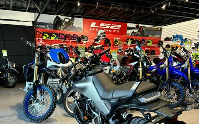 2024 Husqvarna Svartpilen 401