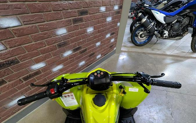 2026 Yamaha Raptor 110