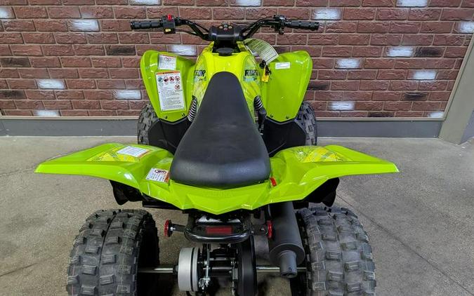 2026 Yamaha Raptor 110