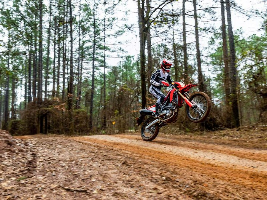 2024 Honda® CRF300L