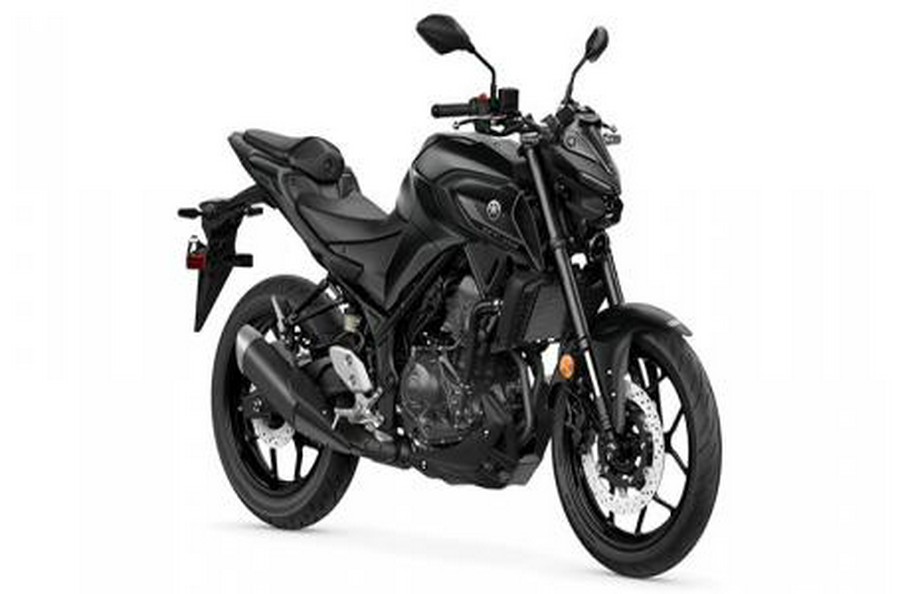 2025 Yamaha MT 03 CA