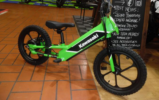 2024 Kawasaki Elektrode Review [A Dozen Fast Facts]