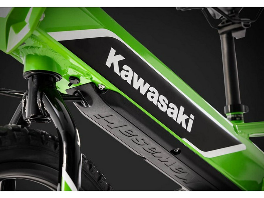 2024 Kawasaki Elektrode 16