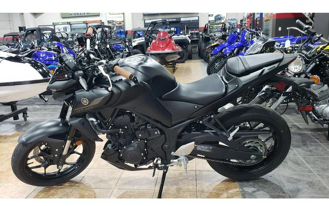 2024 Yamaha MT 03