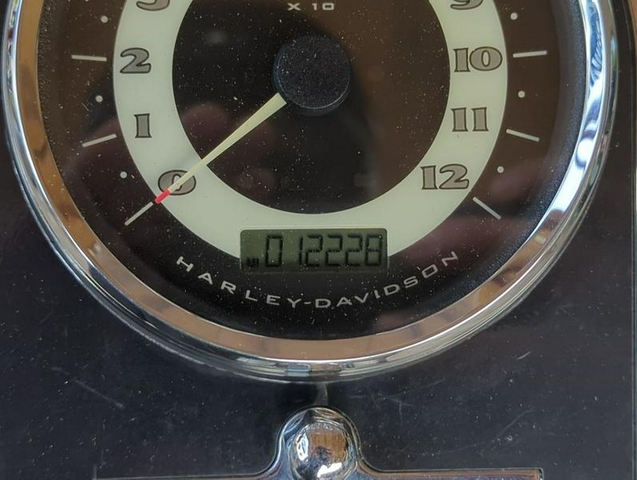 2014 Harley-Davidson® FLSTN103