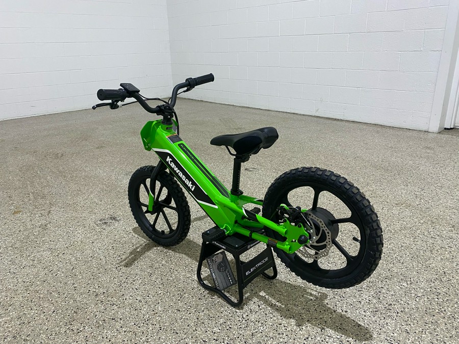 2023 Kawasaki Elektrode