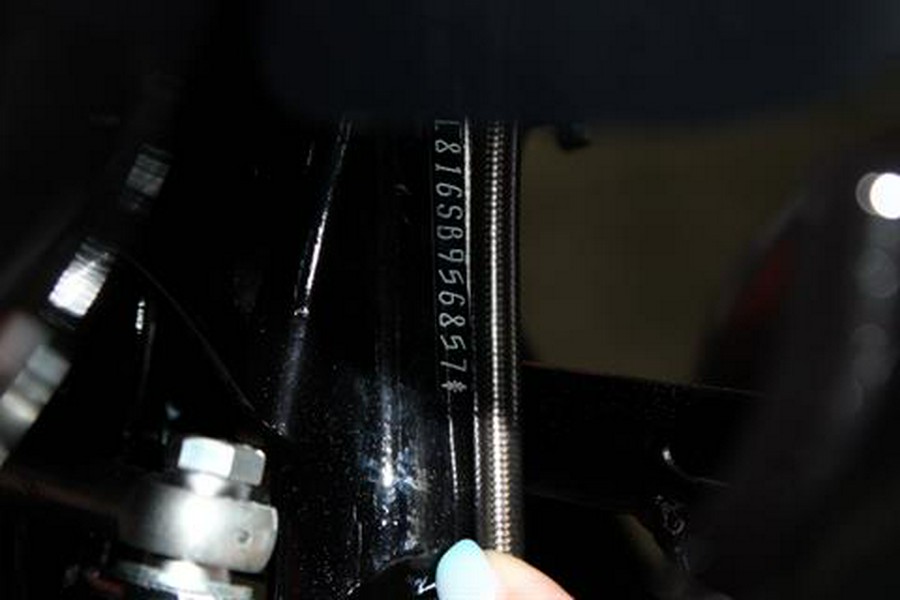 2025 Harley-Davidson CVO™ Road Glide® ST