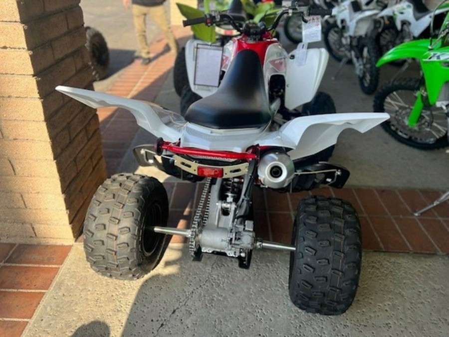 2026 Yamaha Raptor 700R SE