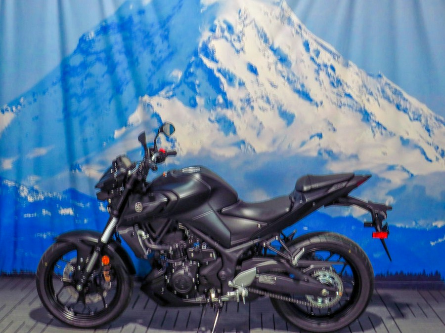 2024 Yamaha MT-03