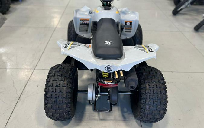 2026 Can-Am ATV RENEGADE 2X4 1104ST GY CALI 26 CATALYST GREY
