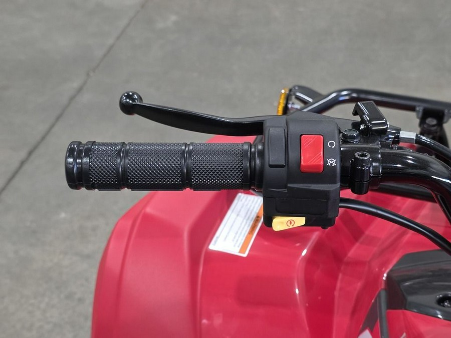 2025 Yamaha Grizzly 110