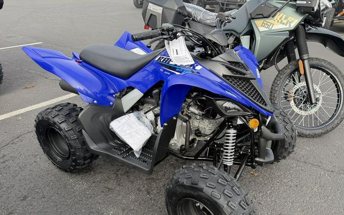 2026 Yamaha Raptor 110