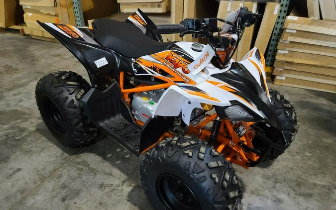2026 Kayo Predator 125 EFI