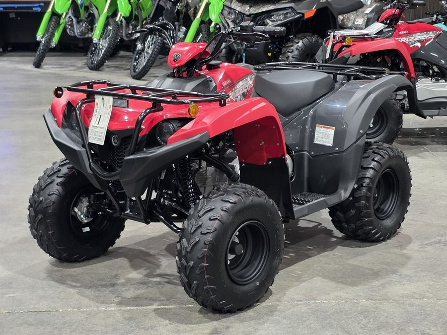 2025 Yamaha Grizzly 110