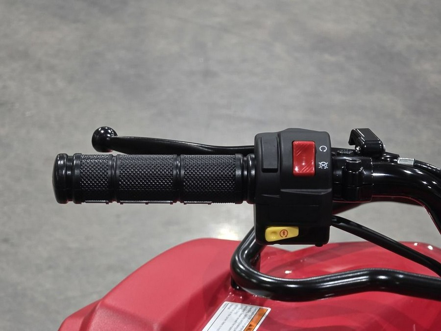 2025 Yamaha Grizzly 110