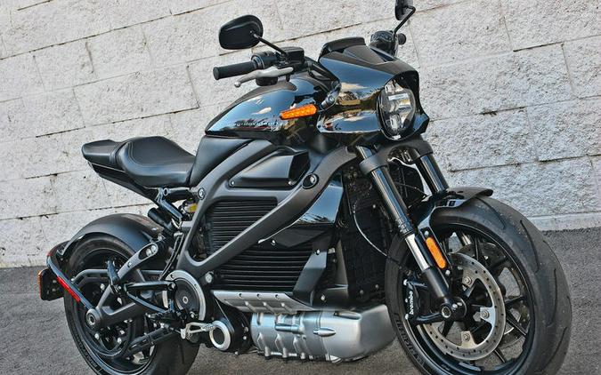 2020 Harley-Davidson LiveWire First Ride