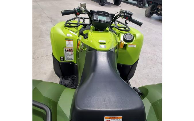 2026 Yamaha Grizzly EPS