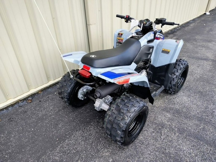 2026 Polaris Phoenix 200