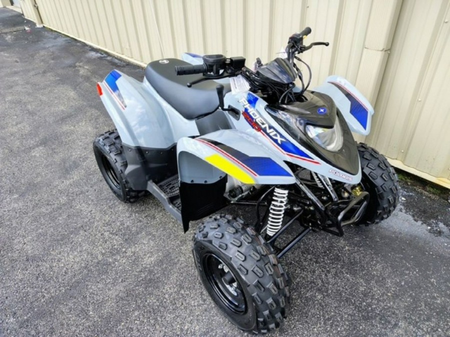 2026 Polaris Phoenix 200
