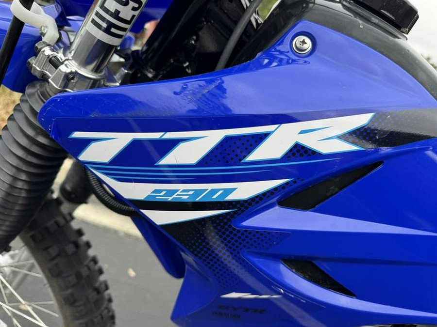 2025 Yamaha TT-R230