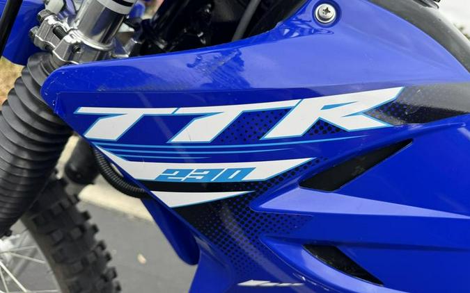2025 Yamaha TT-R230