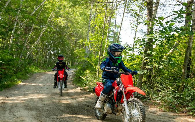 2026 Honda CRF110F White
