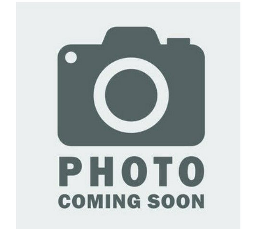 2002 Honda Gold Wing