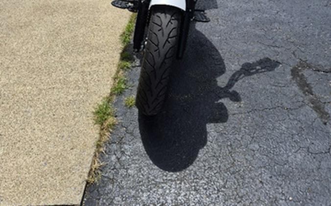 2021 Indian Scout