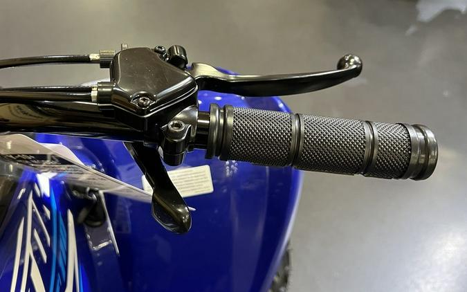 2026 Yamaha Raptor 110