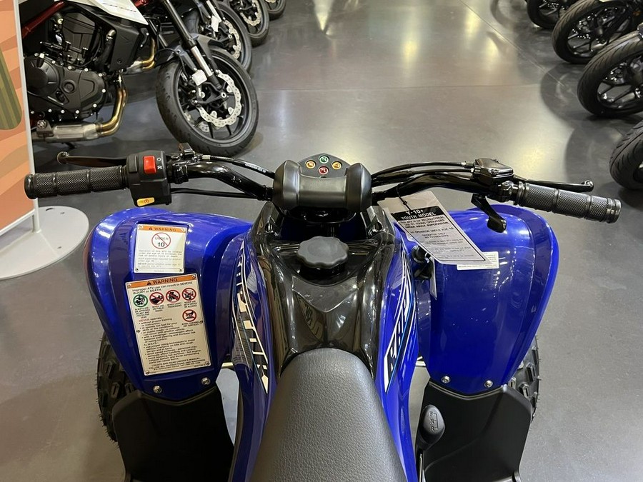 2026 Yamaha Raptor 110