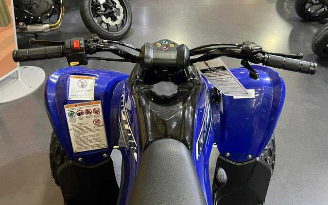 2026 Yamaha Raptor 110