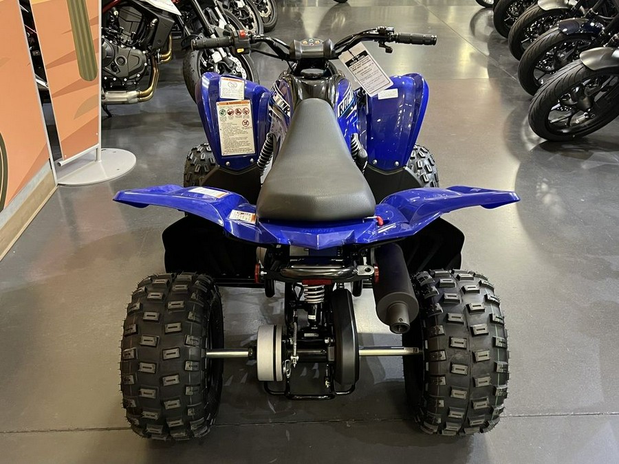 2026 Yamaha Raptor 110