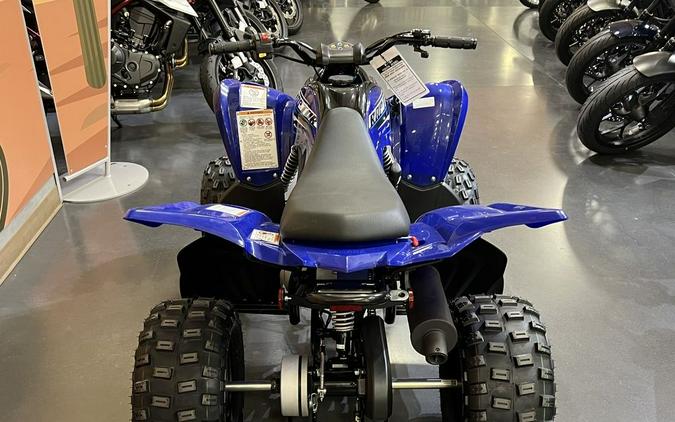 2026 Yamaha Raptor 110