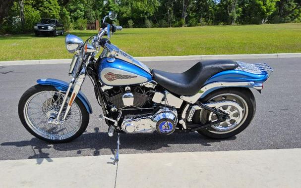 2006 Harley-Davidson Softail® Springer® Classic