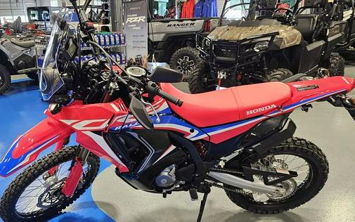 2024 Honda® CRF300L Rally