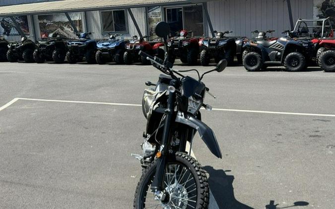 2026 Kawasaki KLX 300
