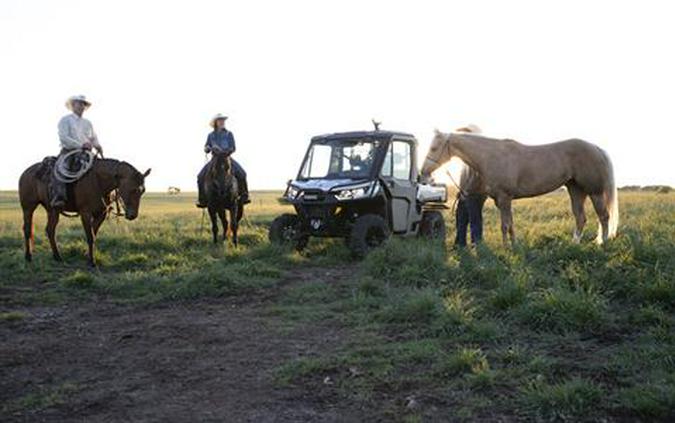 2020 Can-Am Defender Limited HD10