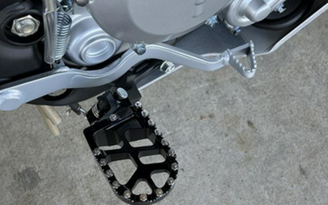 2026 Kawasaki KLX 300