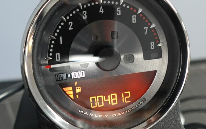 2019 Harley-Davidson Iron 883