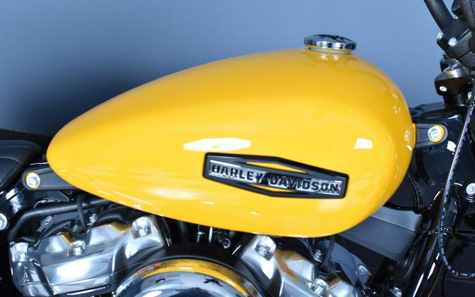2025 Harley-Davidson Street Bob FXBB