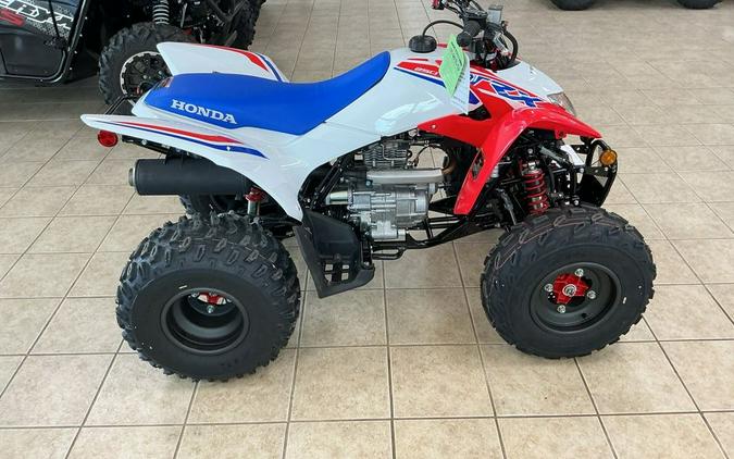 2026 Honda® TRX250X